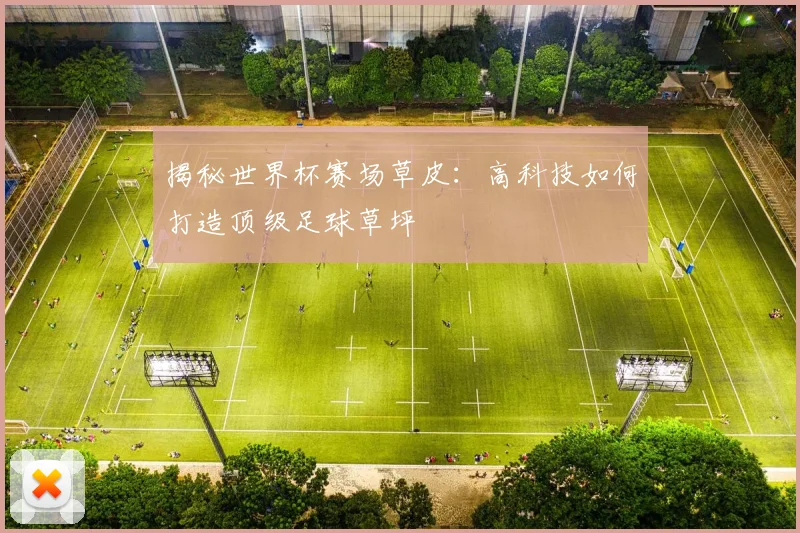 揭秘世界杯赛场草皮：高科技如何打造顶级足球草坪