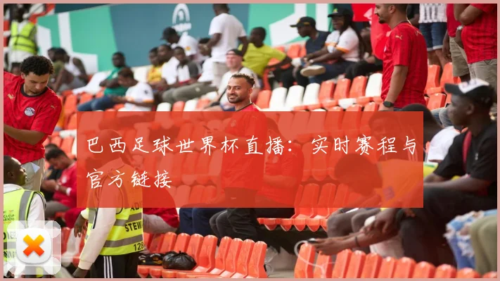 巴西足球世界杯直播：实时赛程与官方链接