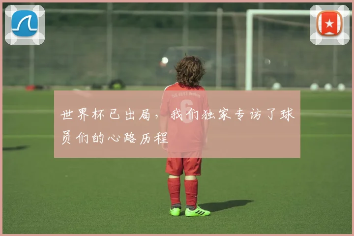 世界杯已出局，我们独家专访了球员们的心路历程